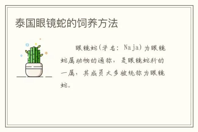 泰国眼镜蛇的饲养方法