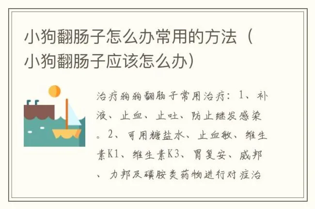 小狗翻肠子怎么办常用的方法（小狗翻肠子应该怎么办）