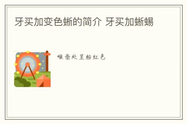 牙买加变色蜥的简介 牙买加蜥蜴