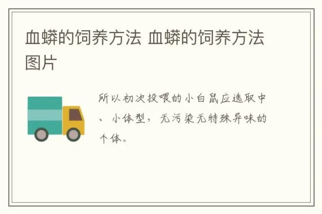 血蟒的饲养方法 血蟒的饲养方法图片
