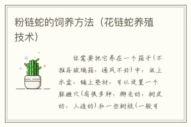 粉链蛇的饲养方法（花链蛇养殖技术）