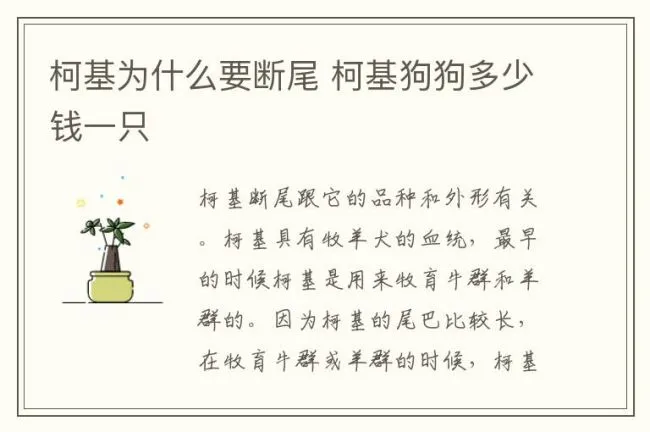 柯基为什么要断尾 柯基狗狗多少钱一只