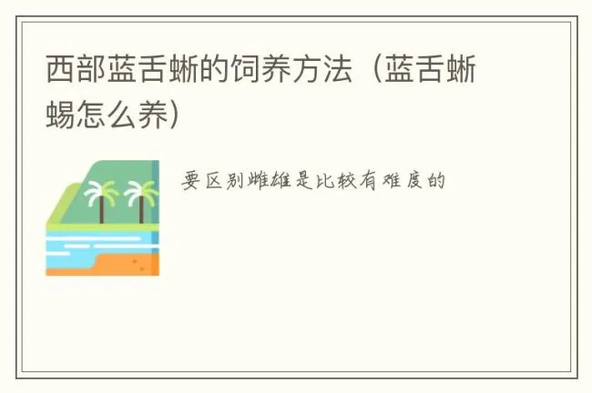 西部蓝舌蜥的饲养方法（蓝舌蜥蜴怎么养）