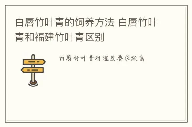 白唇竹叶青的饲养方法 白唇竹叶青和福建竹叶青区别