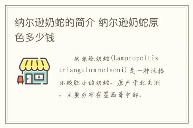 纳尔逊奶蛇的简介 纳尔逊奶蛇原色多少钱