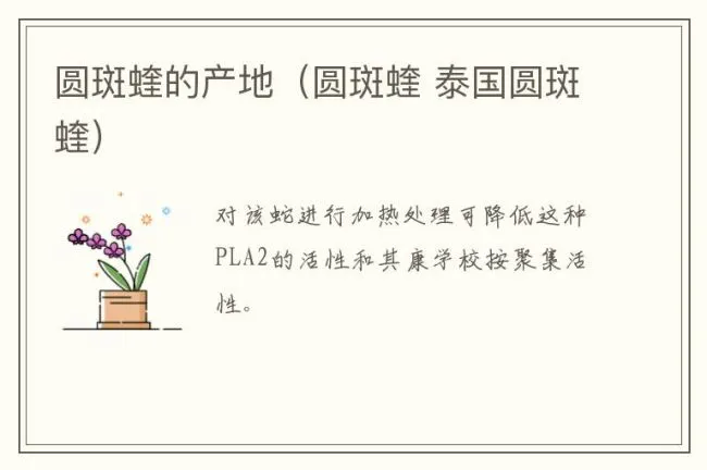 圆斑蝰的产地（圆斑蝰 泰国圆斑蝰）