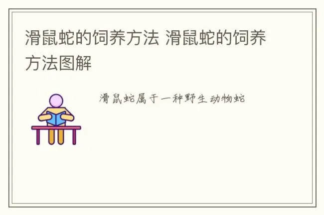 滑鼠蛇的饲养方法 滑鼠蛇的饲养方法图解