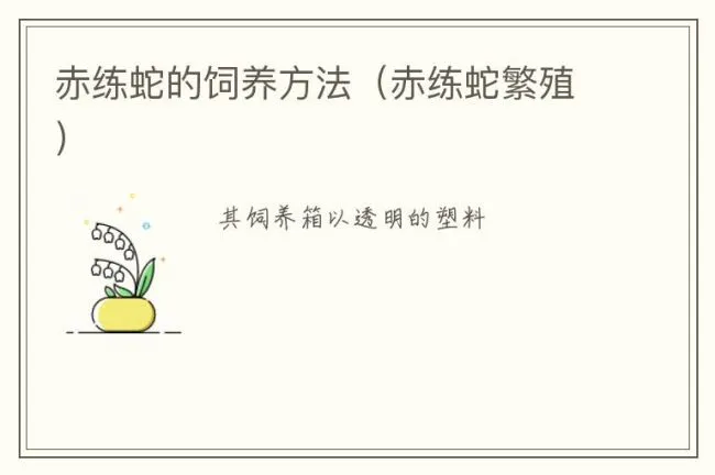 赤练蛇的饲养方法（赤练蛇繁殖）