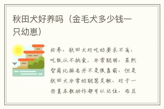 秋田犬好养吗（金毛犬多少钱一只幼崽）