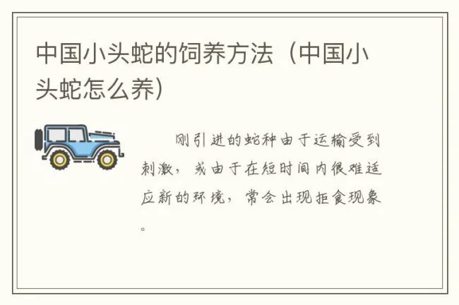 中国小头蛇的饲养方法（中国小头蛇怎么养）