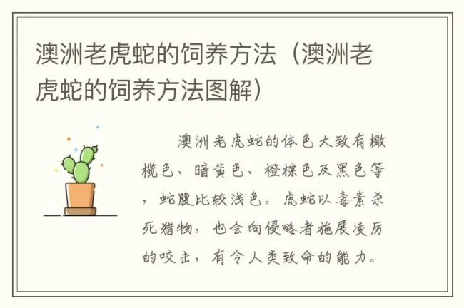 澳洲老虎蛇的饲养方法（澳洲老虎蛇的饲养方法图解）