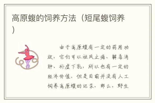 高原蝮的饲养方法（短尾蝮饲养）