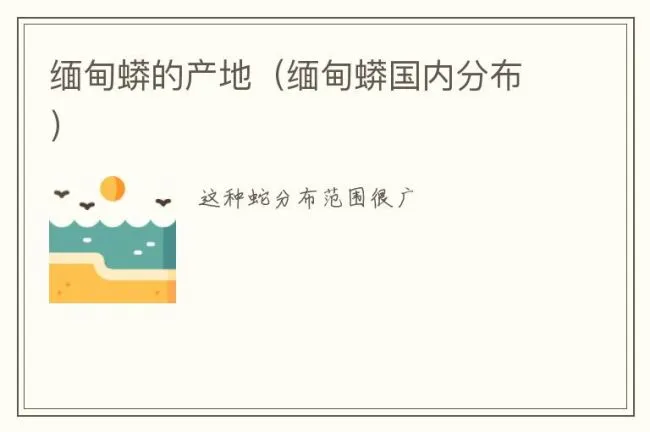 缅甸蟒的产地（缅甸蟒国内分布）