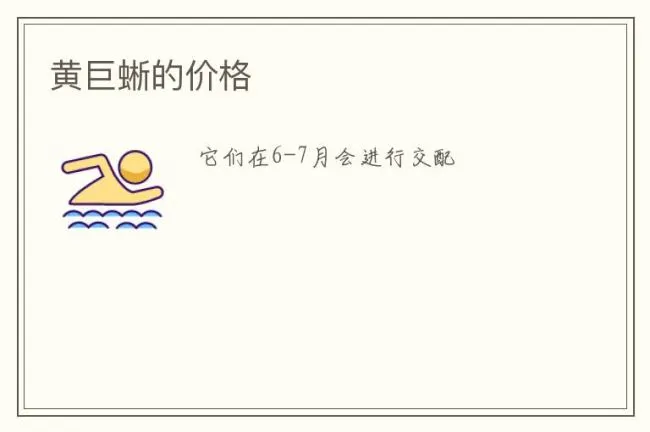 黄巨蜥的价格
