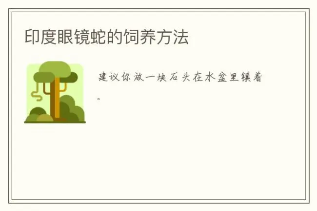 印度眼镜蛇的饲养方法