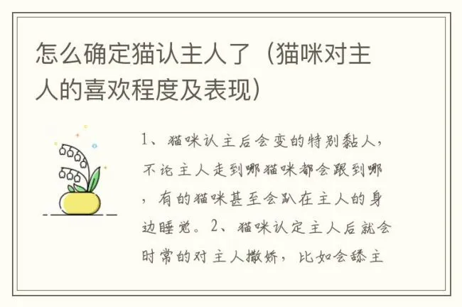怎么确定猫认主人了（猫咪对主人的喜欢程度及表现）