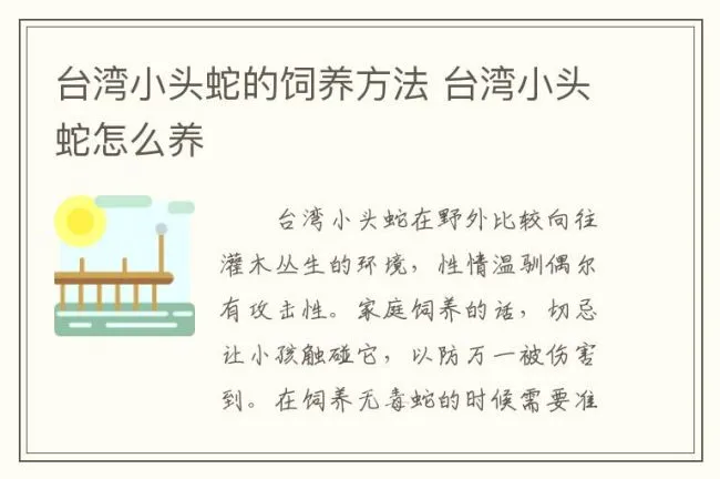 台湾小头蛇的饲养方法 台湾小头蛇怎么养