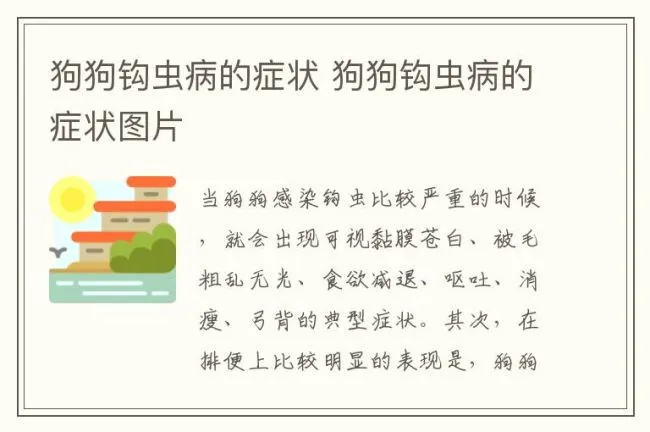 狗狗钩虫病的症状 狗狗钩虫病的症状图片