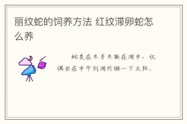 丽纹蛇的饲养方法 红纹滞卵蛇怎么养