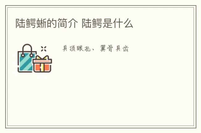 陆鳄蜥的简介 陆鳄是什么