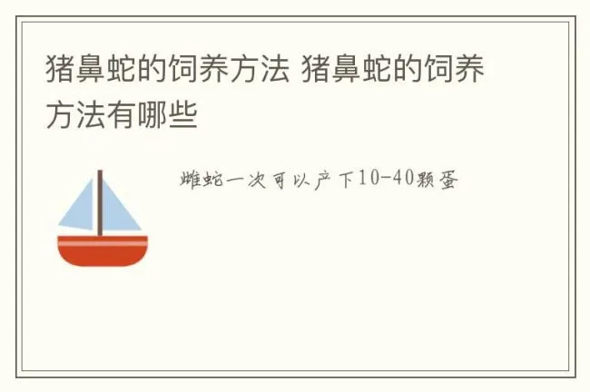 猪鼻蛇的饲养方法 猪鼻蛇的饲养方法有哪些