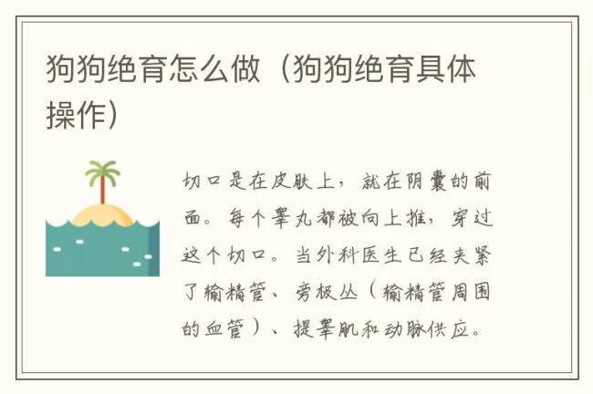 狗狗绝育怎么做（狗狗绝育具体操作）