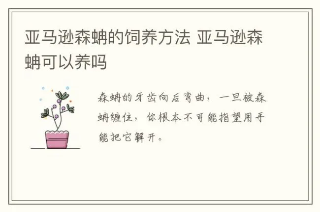亚马逊森蚺的饲养方法 亚马逊森蚺可以养吗