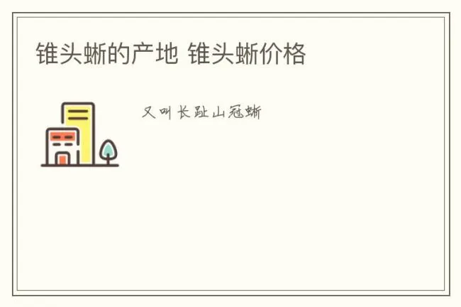 锥头蜥的产地 锥头蜥价格
