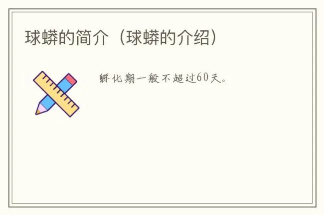 球蟒的简介（球蟒的介绍）