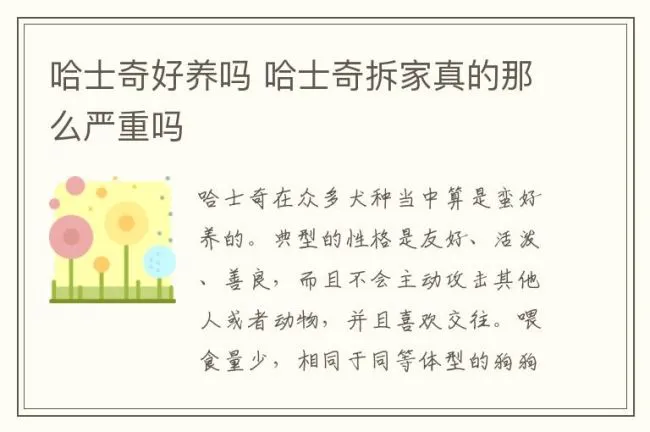 哈士奇好养吗 哈士奇拆家真的那么严重吗