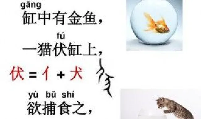 猫捕鱼小古文翻译 猫捕鱼怎么翻译