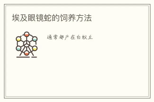 埃及眼镜蛇的饲养方法