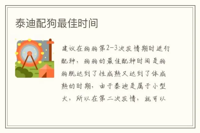 泰迪配狗最佳时间