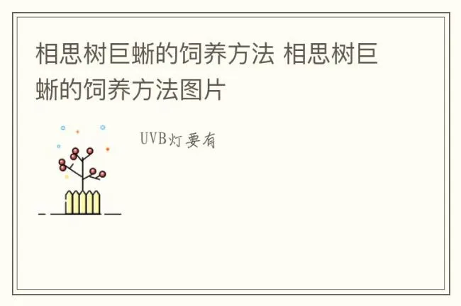 相思树巨蜥的饲养方法 相思树巨蜥的饲养方法图片