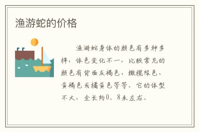 渔游蛇的价格