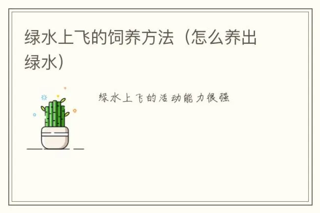 绿水上飞的饲养方法（怎么养出绿水）