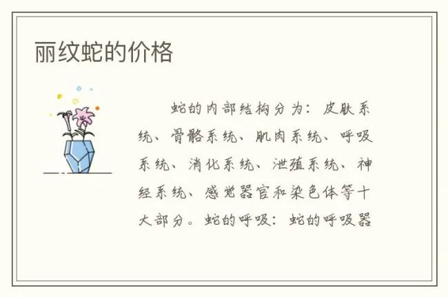 丽纹蛇的价格