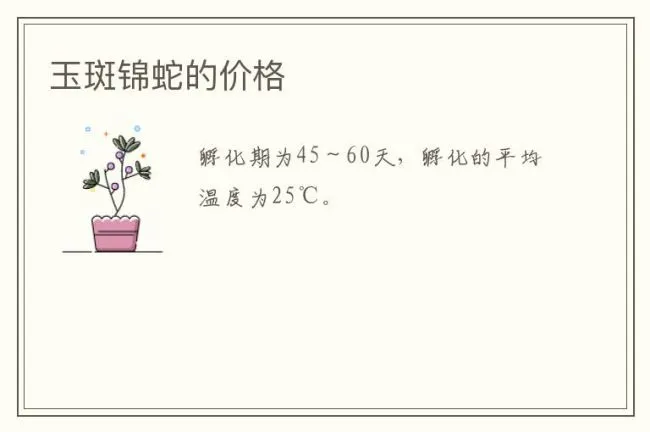 玉斑锦蛇的价格
