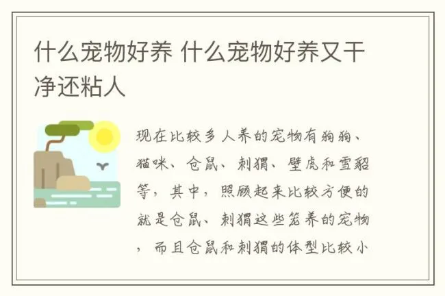 什么宠物好养 什么宠物好养又干净还粘人
