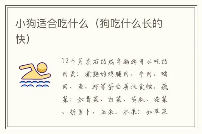小狗适合吃什么（狗吃什么长的快）