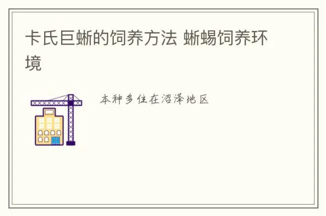 卡氏巨蜥的饲养方法 蜥蜴饲养环境