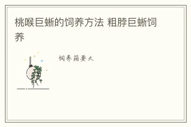 桃喉巨蜥的饲养方法 粗脖巨蜥饲养