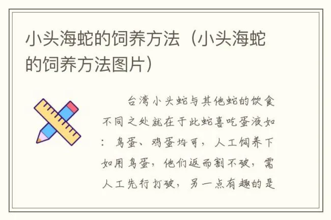 小头海蛇的饲养方法（小头海蛇的饲养方法图片）