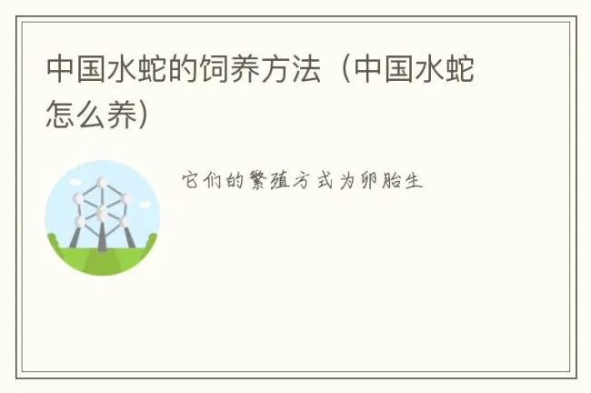 中国水蛇的饲养方法（中国水蛇怎么养）