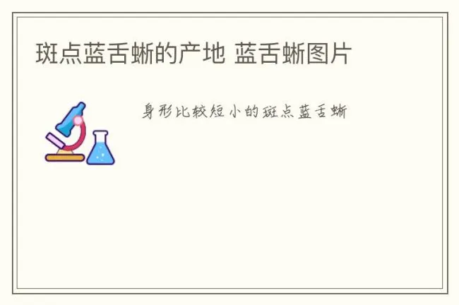 斑点蓝舌蜥的产地 蓝舌蜥图片