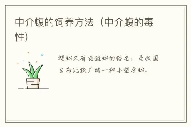 中介蝮的饲养方法（中介蝮的毒性）