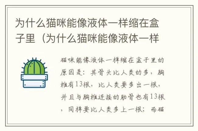 为什么猫咪能像液体一样缩在盒子里（为什么猫咪能像液体一样缩在盒子里吃东西）