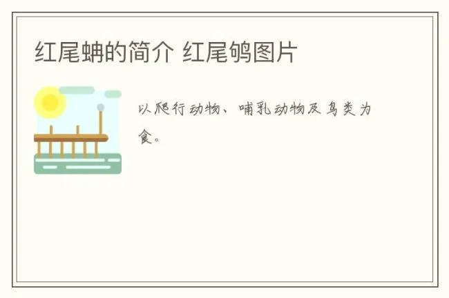 红尾蚺的简介 红尾鸲图片