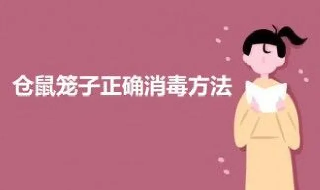 仓鼠笼子正确消毒方法 仓鼠笼子正确消毒方法视频