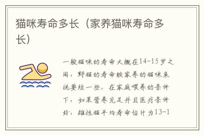 猫咪寿命多长（家养猫咪寿命多长）